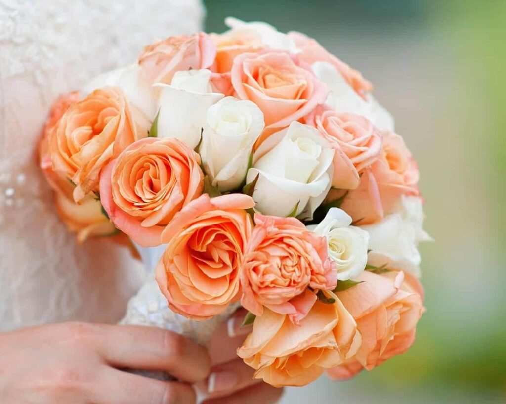 دسته گل بایدر مایر